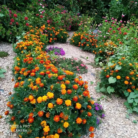 Medulas Telares בית כפרי