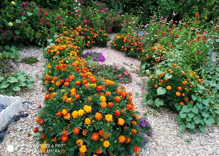 Medulas Telares Landsted