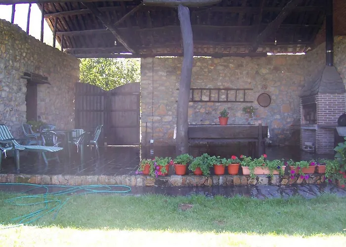 Medulas Telares Landsted *